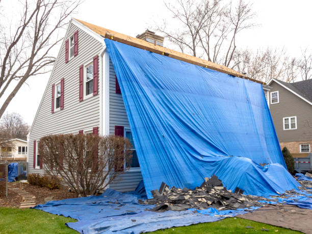 Best Hoarding Cleanup  in Montgomery, OH